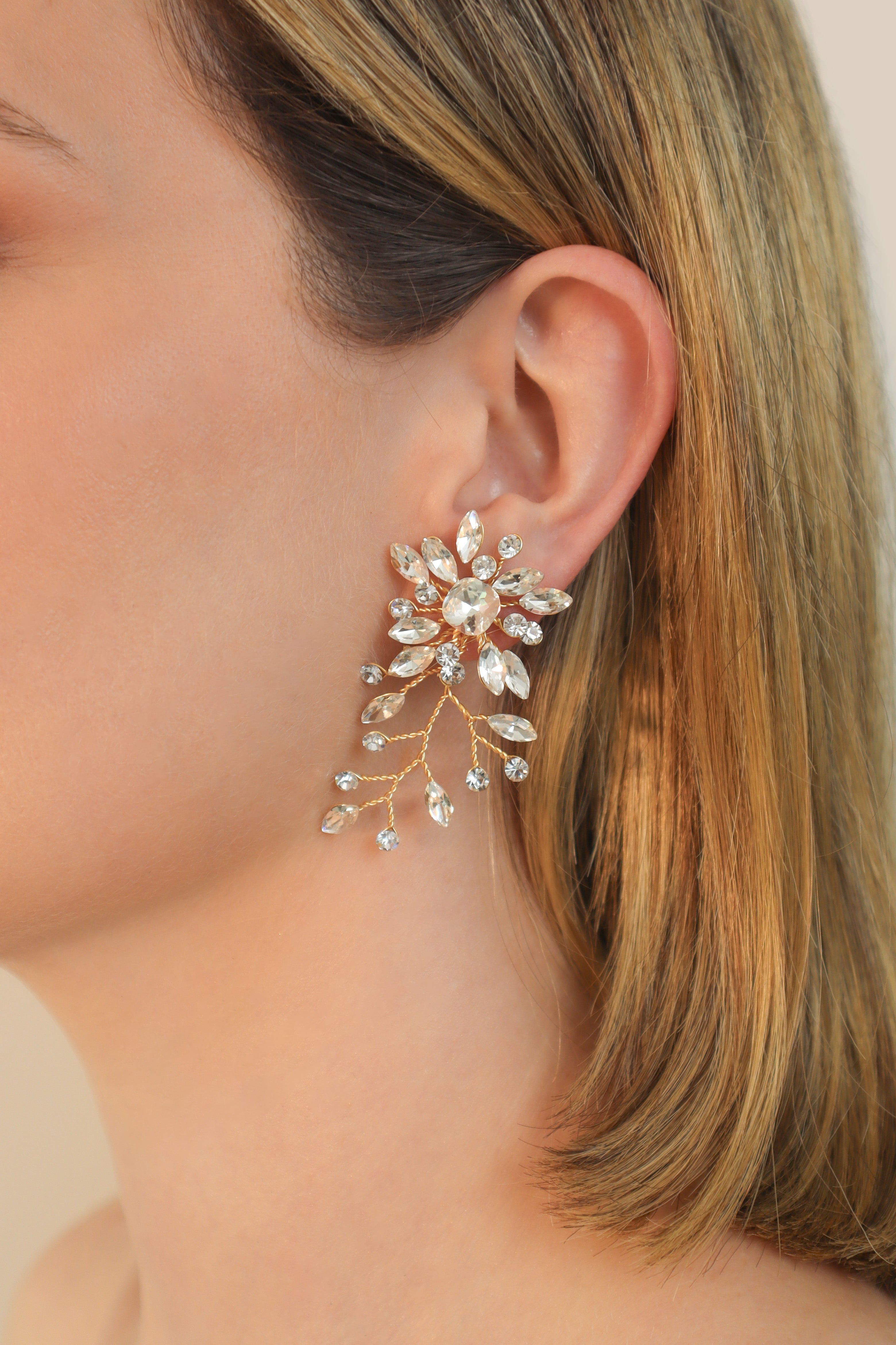 Aretes Brillo Eterno